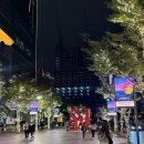 713 | 대만 1월 날씨를 알려줄 대만 1월 여행 아시아나 oz713 대만행 후기