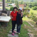 강여울 숲 이미지