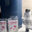 용인센트럴동물병원 이미지