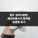 바른 애견 | 청주 강아지분양, 애견미용까지 완벽한 바른펫 후기