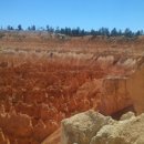 투윙치킨 이미지