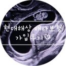 Q대를넘어서 | 태아보험 조합설계(30세+100세) 거절된 이유 | 현대해상 30세만기 가입 후기(+사은품, 설계사 정보)