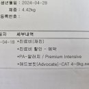 팝애니랩 네이버블로그