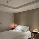 빨간모자달팽이 | [제주도] 서귀포 숙소 빨간모자달팽이 :: 조용한 힐링 감성 숙소 내돈내산 후기