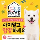 펫필드