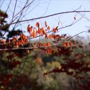 가운 중앙공원 이미지