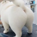 기록하기/결혼 한번 하려는데 결정할게 왜 이렇게 많은거니?/결혼을 결심한 계기/프로포즈는 어떻게 했어?