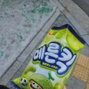 나는 5월의 아이 😉