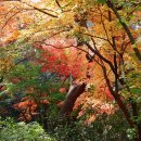 금강공원1 이미지