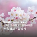 2025년 강서봄빛페스타 이미지