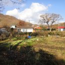 백마농장 이미지