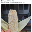카페가지요 이미지
