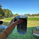 신곡농장 | 16] 멍 때리며 노트북 하기 좋은 농번기뷰 카페 BLUE COFFEE CMU 블루커피 치앙마이대학교 농대점 후기