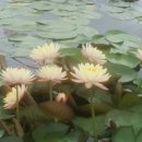 직지인심