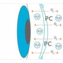 으뜸50안경원종로점 이미지