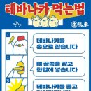 생마차고양
