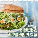 &#34;달걀의 3배 효과?&#34; 엄지손가락만 한데 &#39;체지방 청소부&#39;라 불리는 식품 이미지