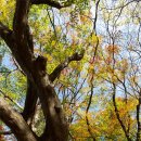 백양사(천안) 이미지