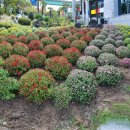 동서 공인중개사무소 이미지