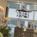 오아오아 이미지