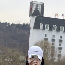 무야 이미지