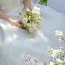 밀드플레 이미지