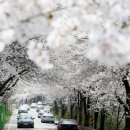 김정선생묘소일원 이미지