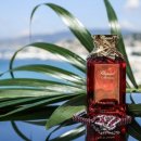 메종드로즈 이미지