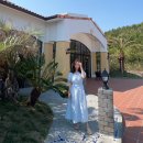 산호상회