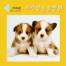 구리동물병원 이미지