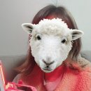 에임텍레이디 휴대하기 좋은 레이디뷰티디바이스 피부탄력이 고민이라면 추천해요