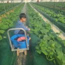 진형농장 이미지