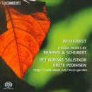 Im Herbst Choral works By Brahms &amp; Schubert Det Norske Solistkor Grete pedersen 이미지