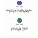 오드리 독 이미지