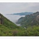청보화원 | 귀때기청봉 털진달래 산행(2021.05.15)