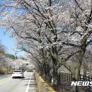 옥천상계공원 이미지