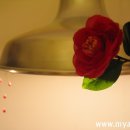 동백여관 이미지