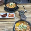 콩심 강제점 이미지