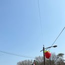 기타조형물 5 | 2026 논산딸기축제 솔직후기 및 꿀팁 (26.03.26.목)