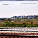 대맥프라자(한우만) 이미지