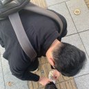 세광농장 이미지