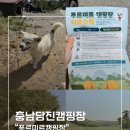 [당진 캠핑]충남 당진에 위치한 소형견동반가능 별한가득 "푸르미르관광농원 캠핑장" 후기
