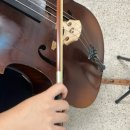 첼로 중급(성인) 이미지