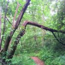 하늘빛바다 이미지