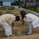 연세실버벨리 이미지