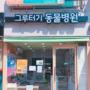 그루터기동물병원 네이버블로그