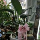 동북로R 이미지