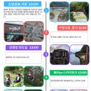 (주)나비투어 이미지