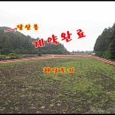이윤희공인중개사사무소 이미지