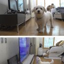 고음농장 이미지